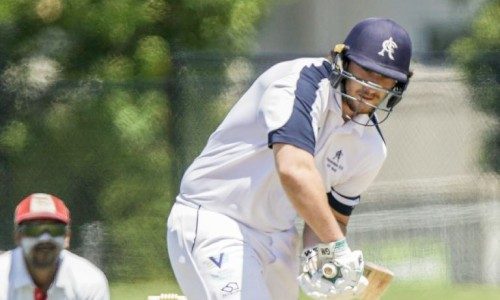 cricket-club