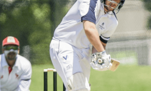cricket-hero